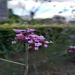 In Ondenval Near Malmedy Dom wakacyjny *