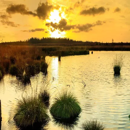 In Ondenval Near Malmedy *