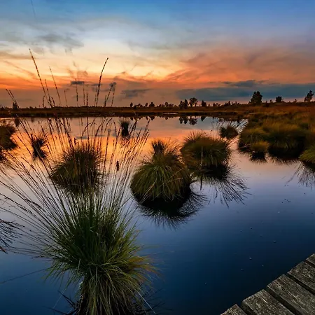 In Ondenval Near Malmedy * 와이메스