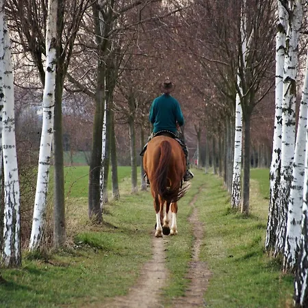 In Ondenval Near Malmedy Vakantiehuis