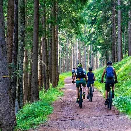 펜션 In Ondenval Near Malmedy 와이메스