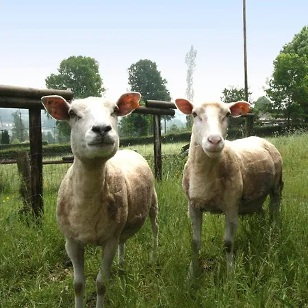 In Ondenval Near Malmedy 와이메스